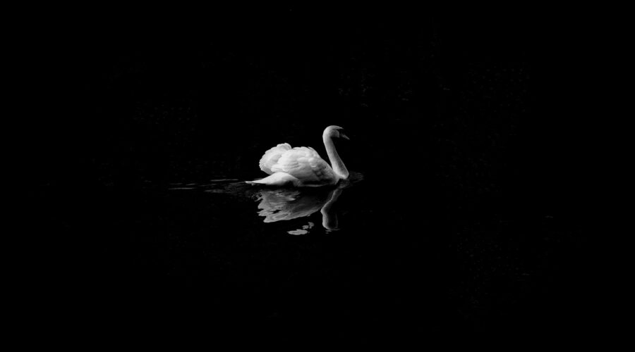 Black and White Photography